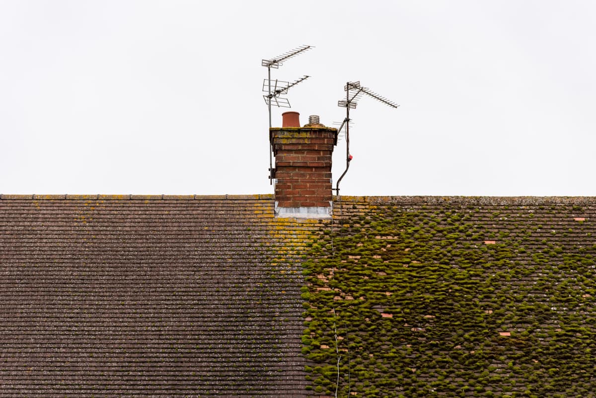 Roof moss before and after